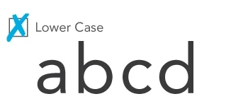 Lower case letters are not allowed on raised character signs.